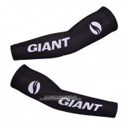 2014 Giant Manicotti Ciclismo